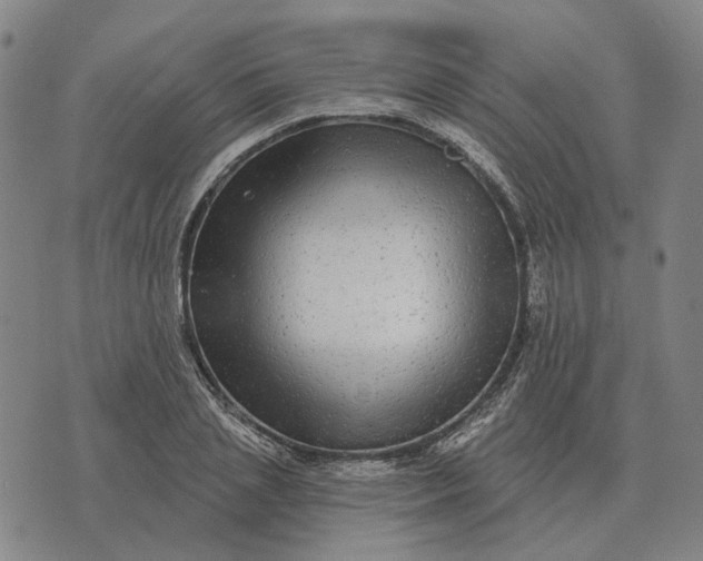 X0000070400837200606231800