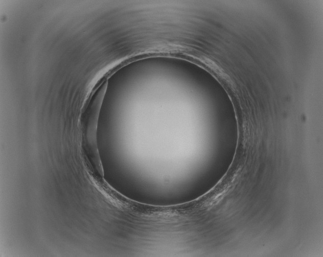 X0000070400838200606231800