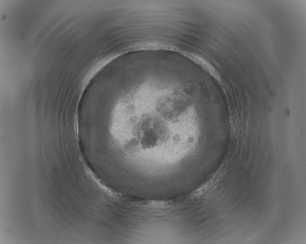 X0000070400839200606231800