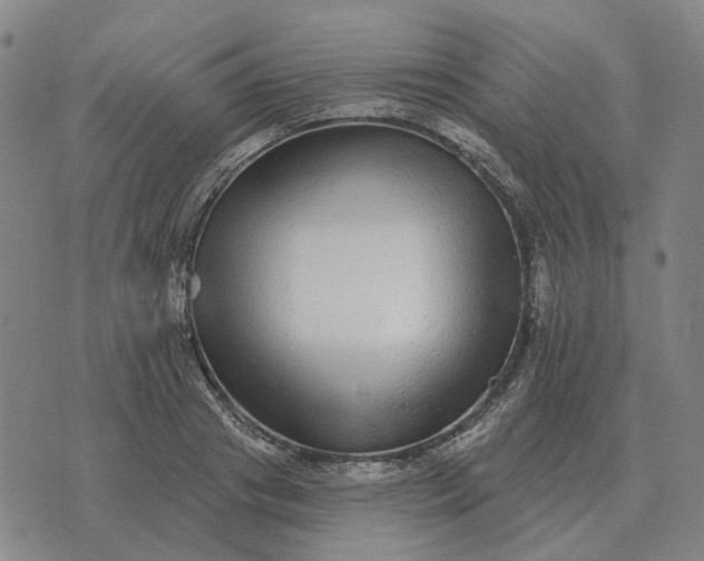 X0000070400841200606231800