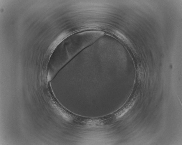 X0000070400842200606231800