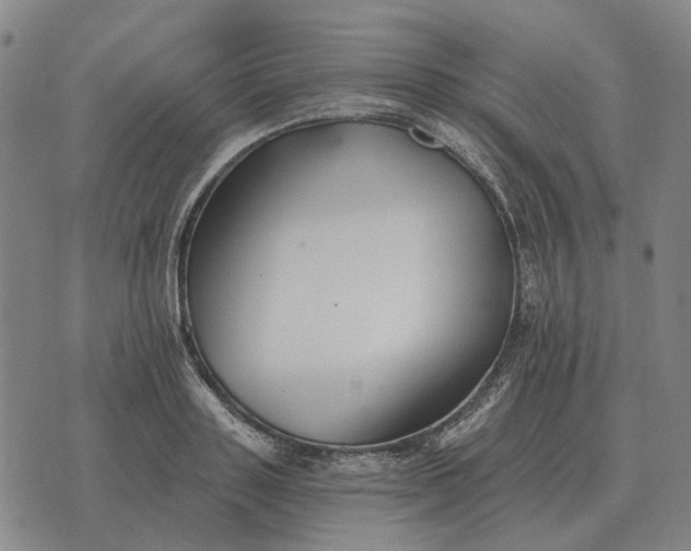 X0000070400843200606231800