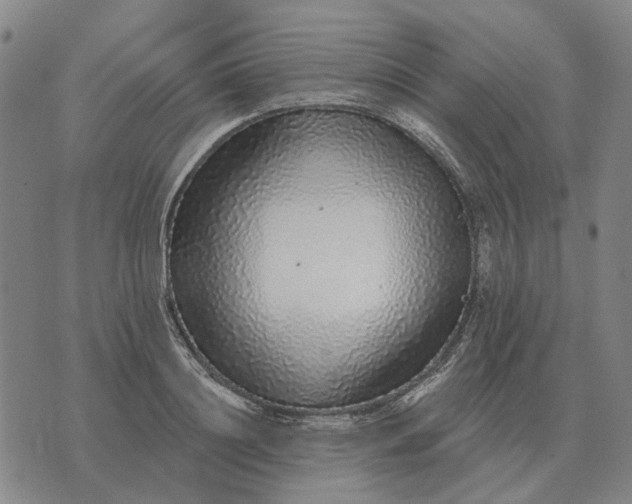 X0000070400844200606231800