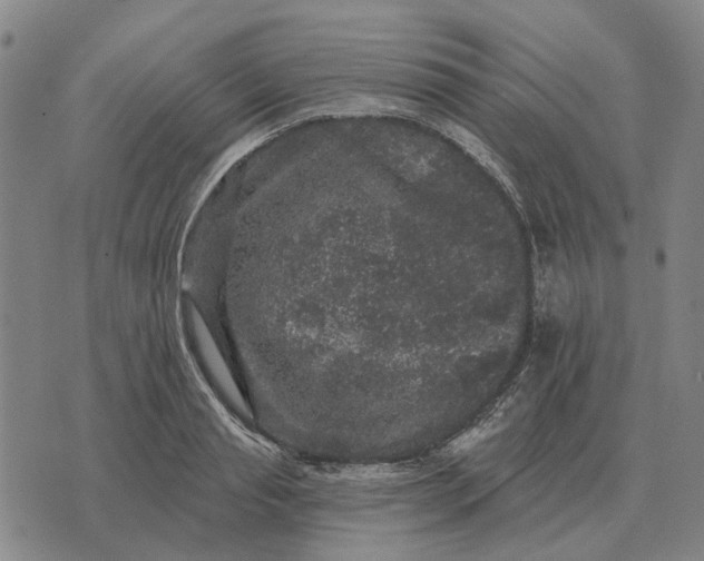 X0000070400845200606231800