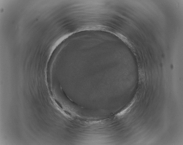 X0000070400846200606231800