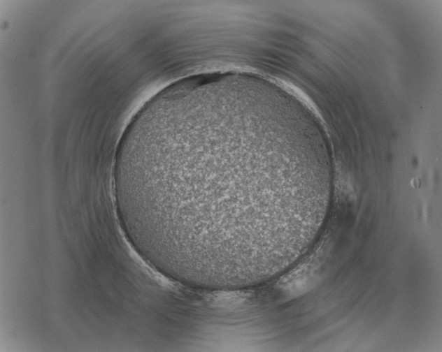 X0000070400847200606231800