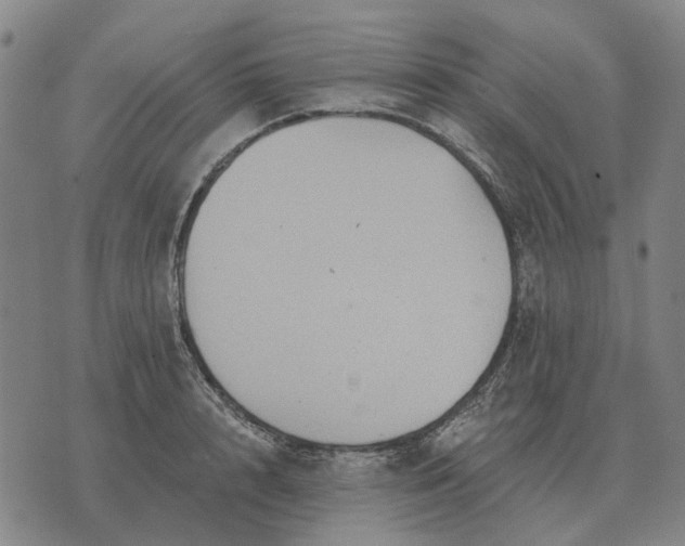 X0000070400848200606231800