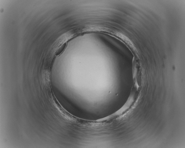 X0000070400849200606231800