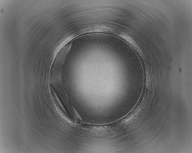 X0000070400850200606231800