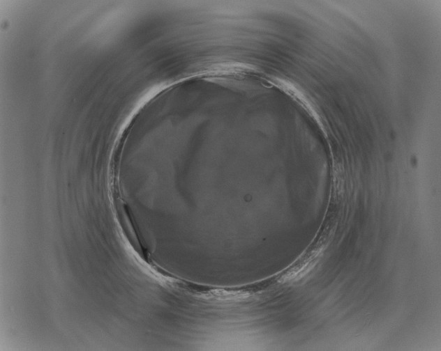 X0000070400851200606231800