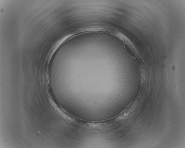 X0000070400852200606231800