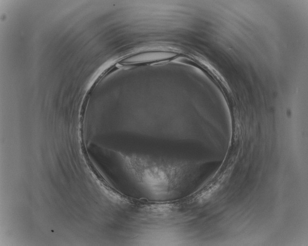 X0000070400853200606231801