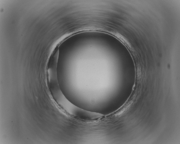 X0000070400854200606231801