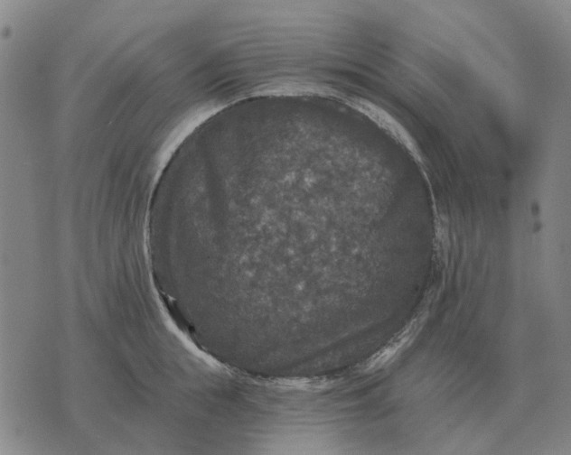 X0000070400855200606231801