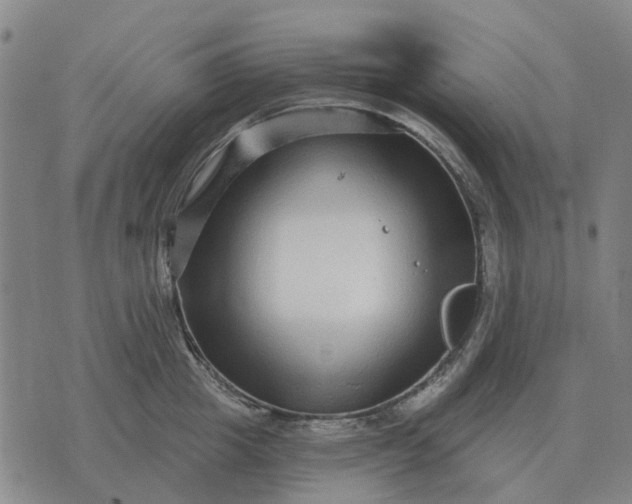 X0000070400857200606231801