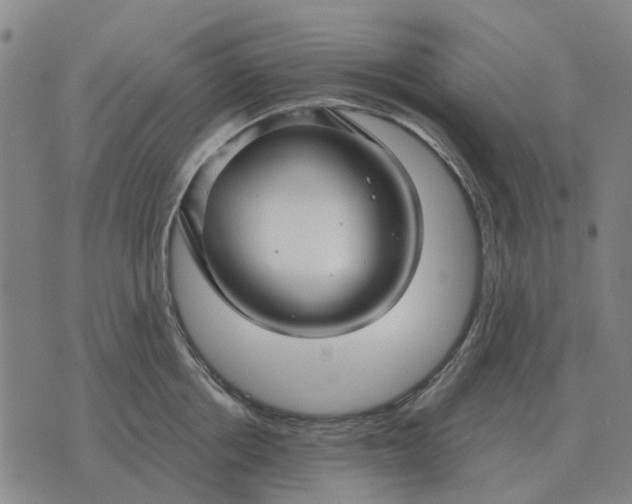 X0000070400858200606231801