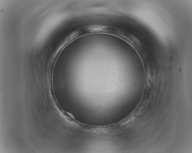 X0000070400861200606231801