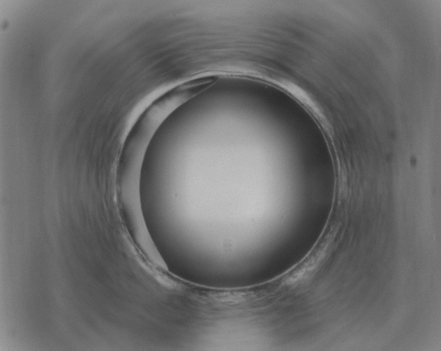 X0000070400862200606231801