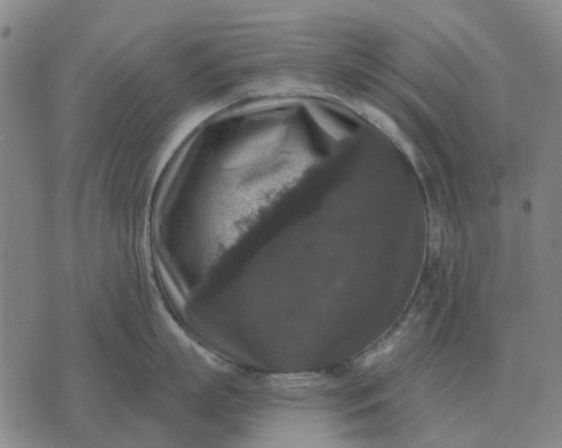 X0000070400863200606231801