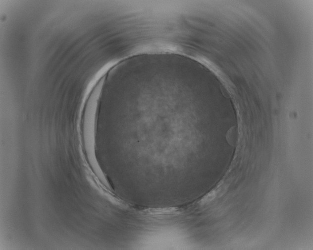 X0000070400864200606231801