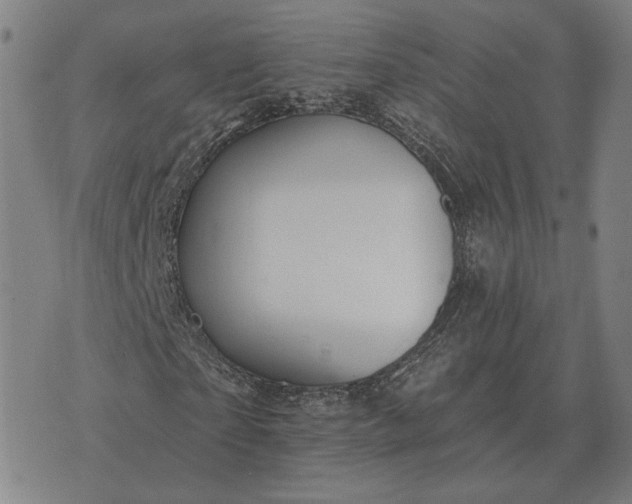 X0000070400865200606231800