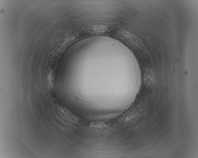 X0000070400866200606231800