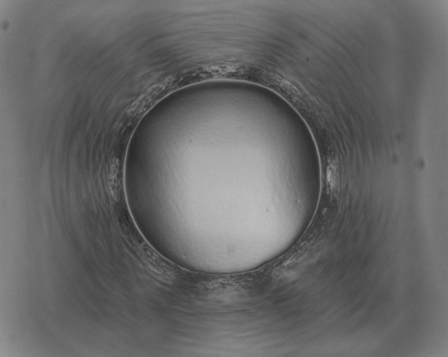 X0000070400867200606231800