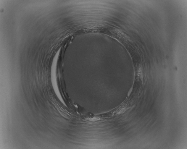 X0000070400868200606231800