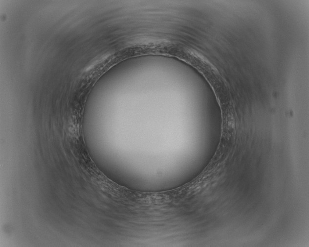 X0000070400869200606231800