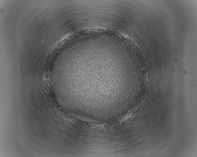 X0000070400870200606231800