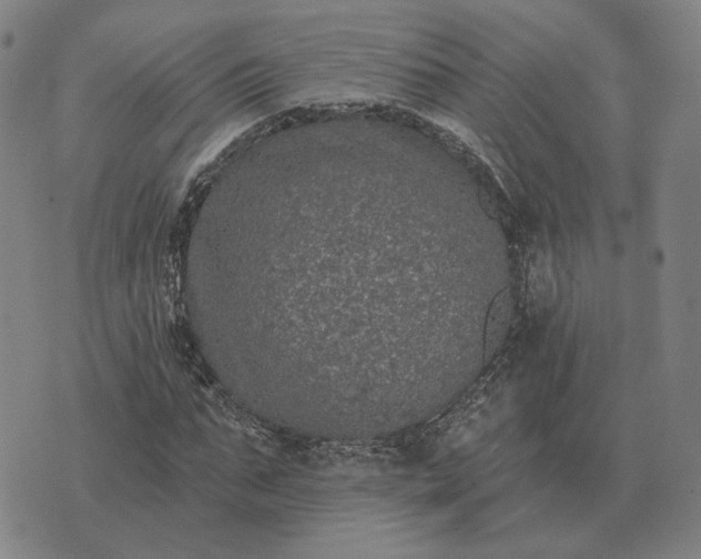 X0000070400871200606231800