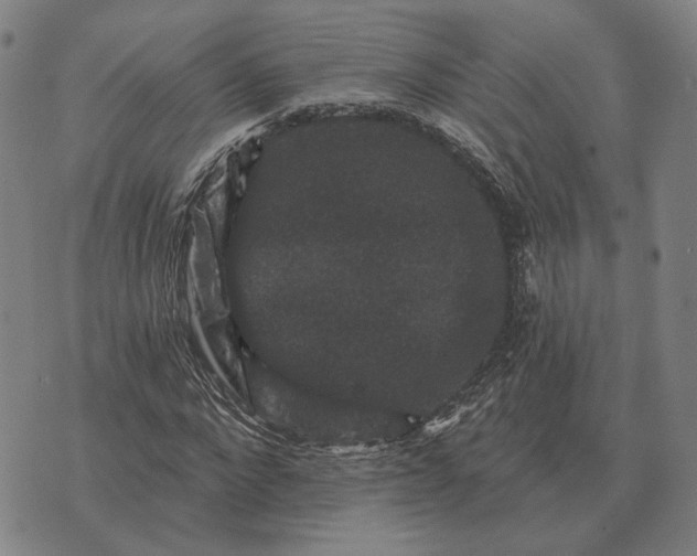 X0000070400872200606231800