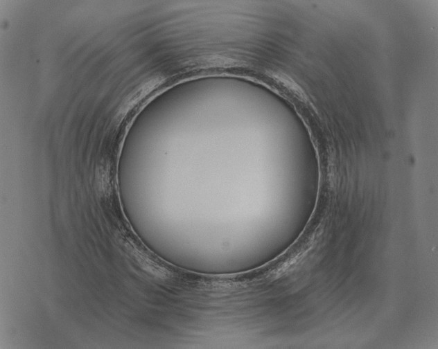 X0000070400873200606231800