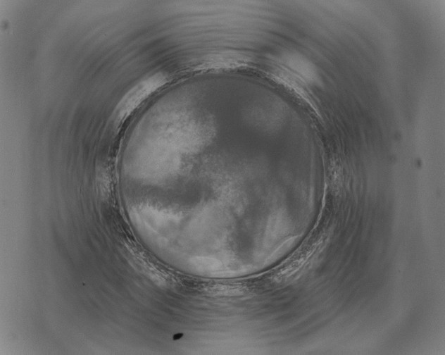 X0000070400874200606231800