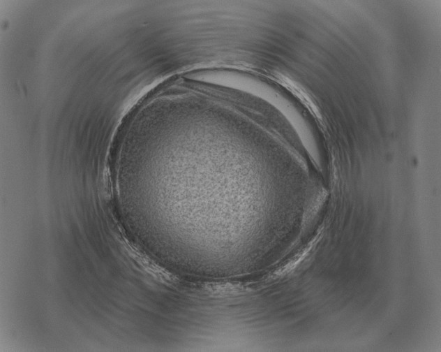 X0000070400876200606231800