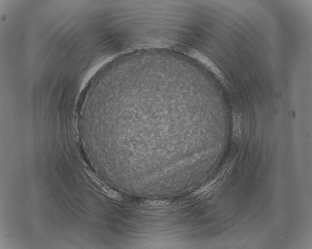 X0000070400878200606231800