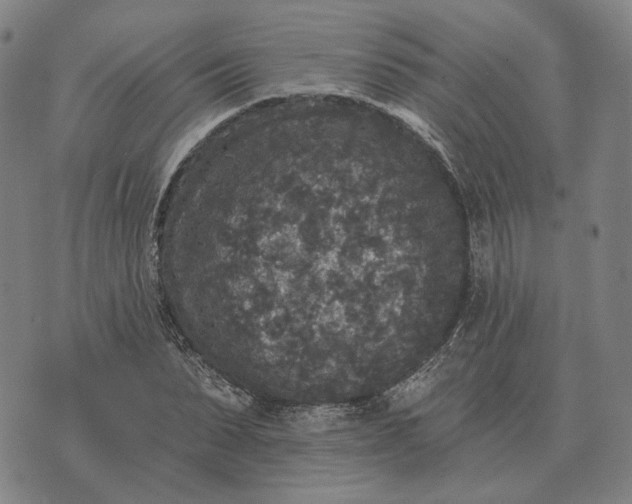 X0000070400879200606231800