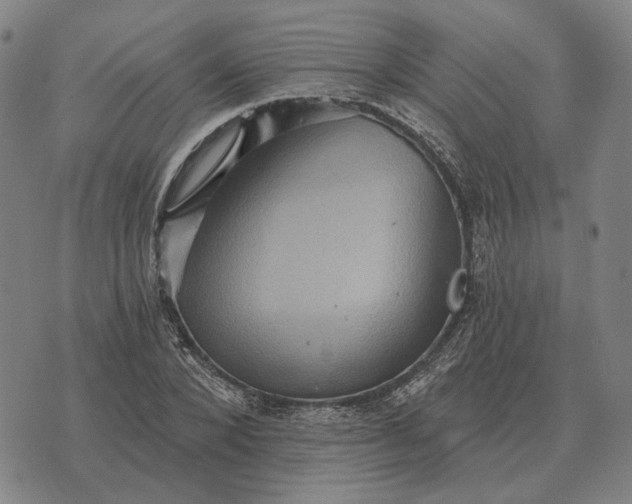 X0000070400880200606231800