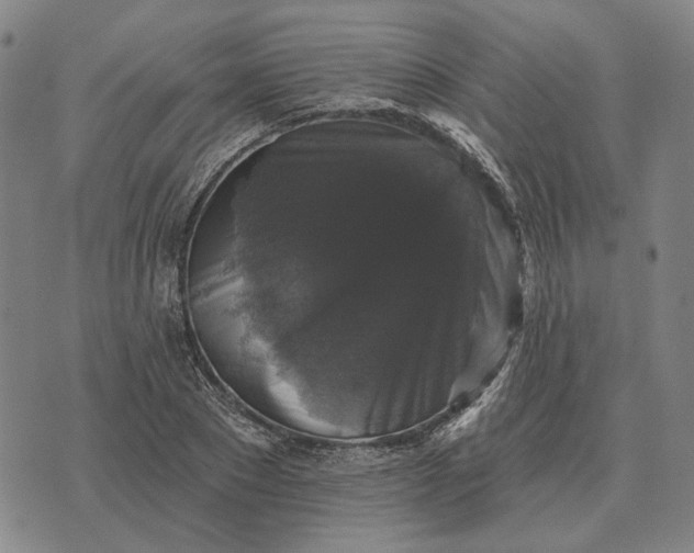 X0000070400881200606231800