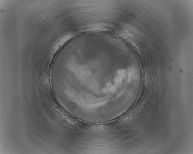 X0000070400882200606231800