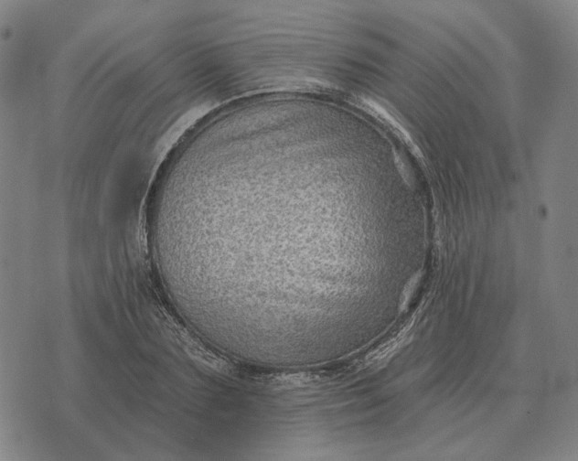 X0000070400883200606231800