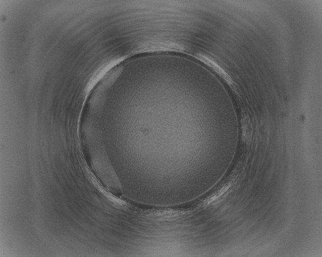 X0000070400885200606231800