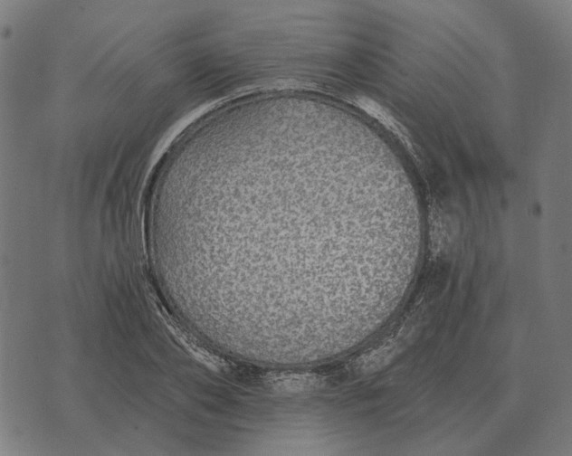 X0000070400886200606231800