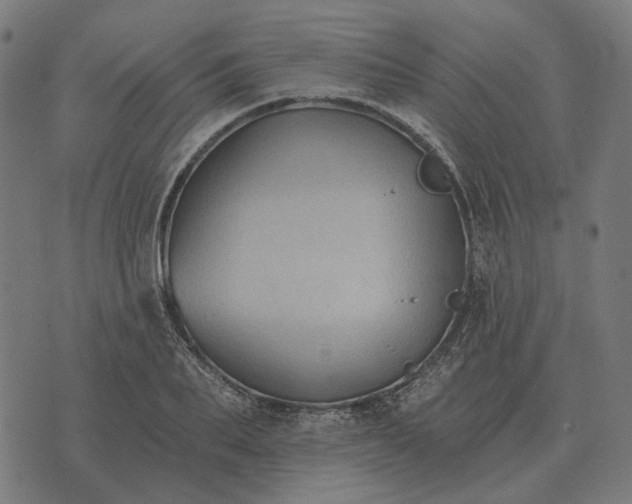 X0000070400887200606231800