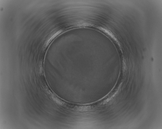 X0000070400889200606231800