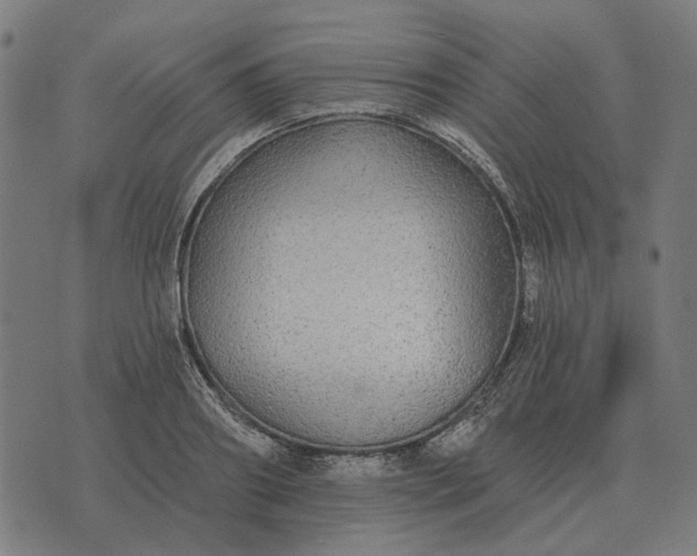 X0000070400890200606231759