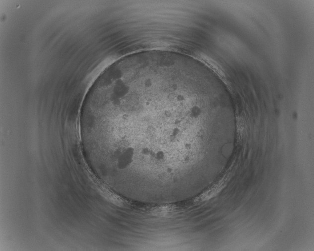 X0000070400891200606231759