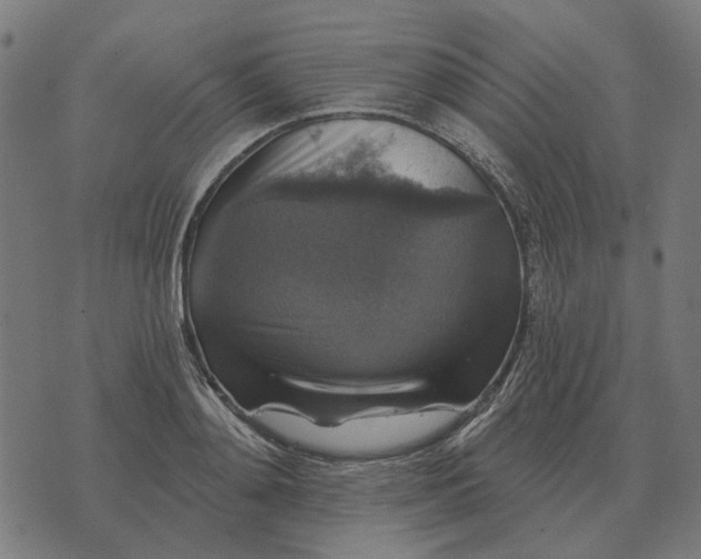 X0000070400892200606231759