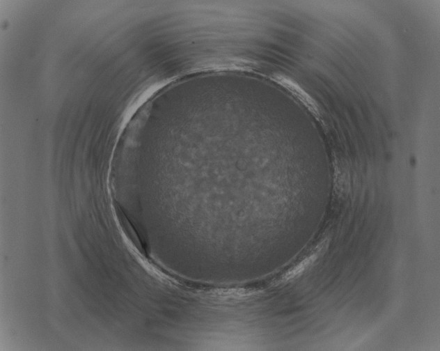 X0000070400893200606231759