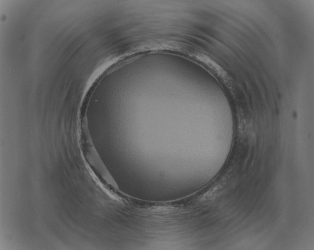 X0000070400894200606231759